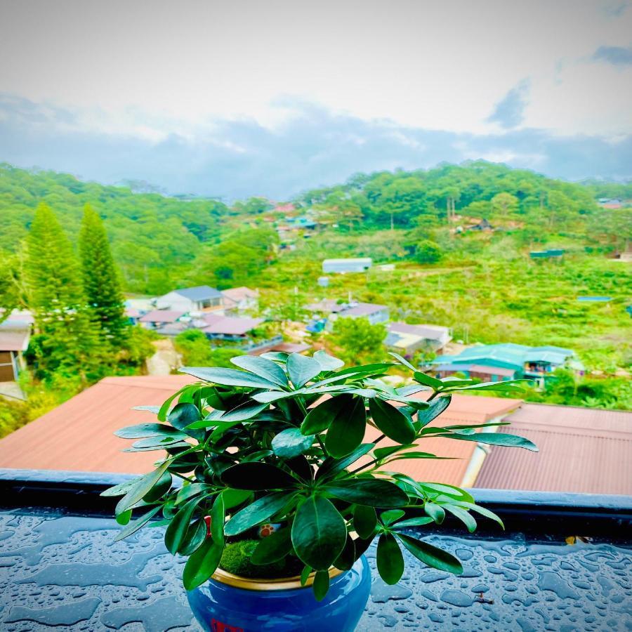 Pine Forest House Dalat Buitenkant foto